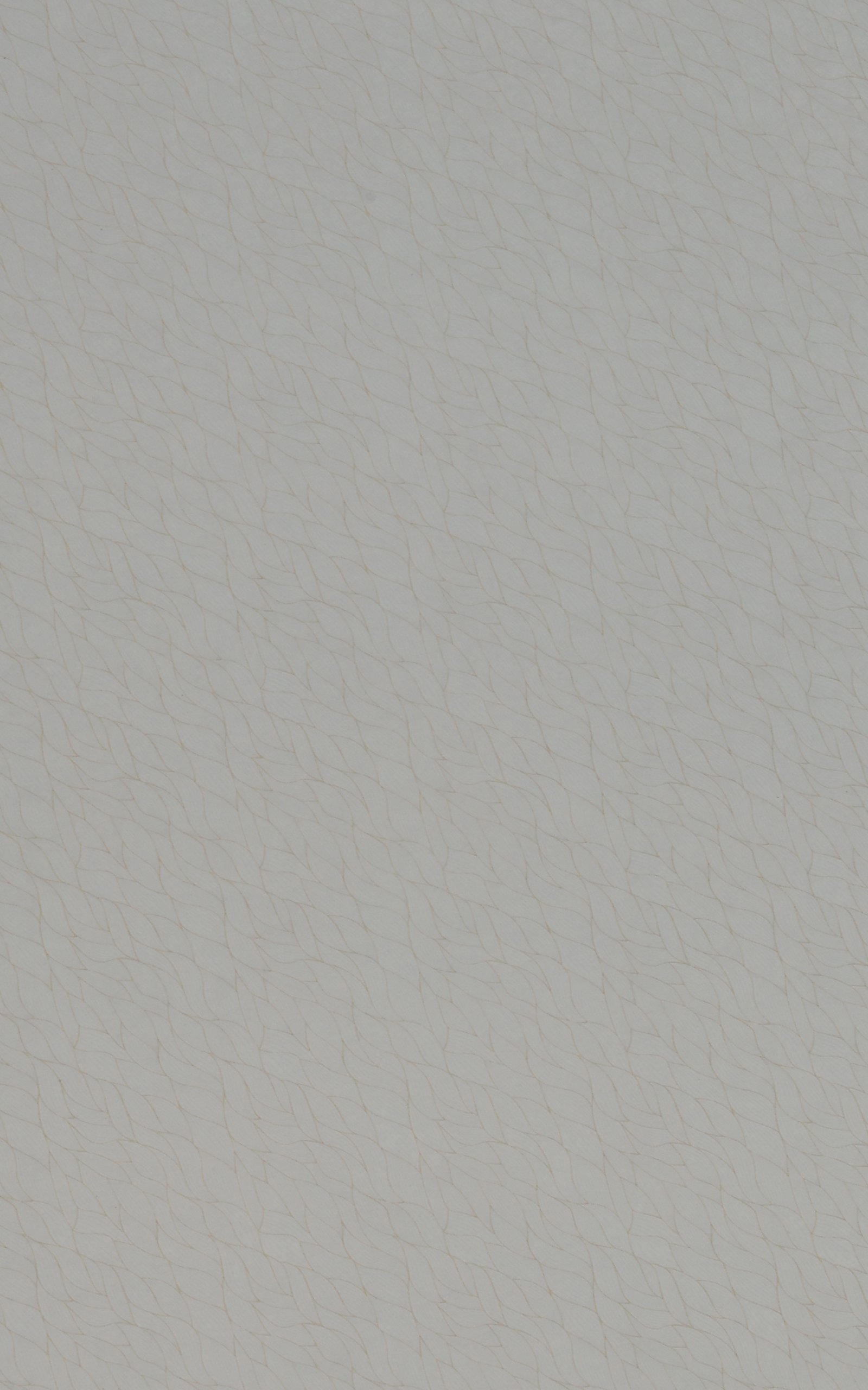 2534 LIGHT AUTUMN LEAF